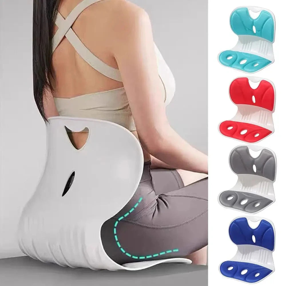 Adult Lumbar Cushion