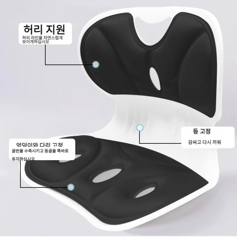 Adult Lumbar Cushion